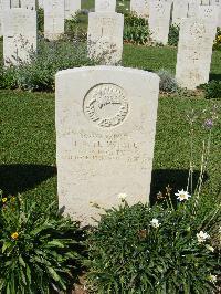 Sangro River War Cemetery - Te Whare, Joseph Ateha